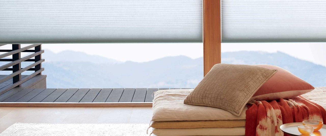Pillows in front of window overlooking mountains.